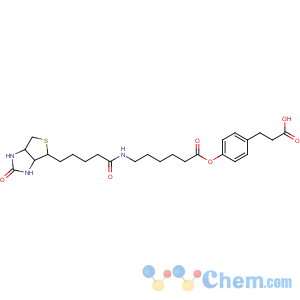 CAS No:83592-10-3 3-[4-[6-[5-[(3aS,4S,6aR)-2-oxo-1,3,3a,4,6,6a-hexahydrothieno[3,<br />4-d]imidazol-4-yl]pentanoylamino]hexanoyloxy]phenyl]propanoic acid