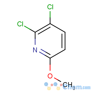 CAS No:83732-68-7 2,3-dichloro-6-methoxy-pyridine