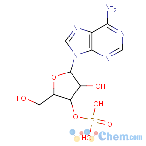 CAS No:84-21-9 3'-Adenylic acid