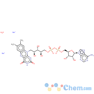 CAS No:84366-81-4 Flavin adenine dinucleotide disodium salt