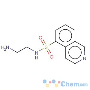 CAS No:84468-17-7 5-Isoquinolinesulfonamide,N-(2-aminoethyl)-