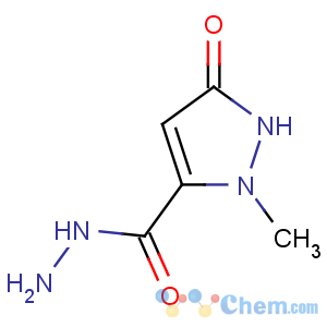 CAS No:844891-24-3 2-methyl-5-oxo-1H-pyrazole-3-carbohydrazide