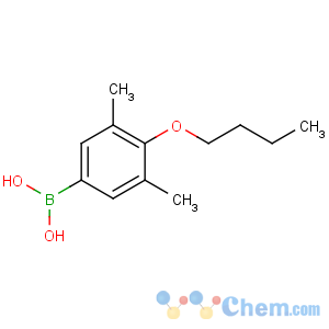 CAS No:845551-41-9 (4-butoxy-3,5-dimethylphenyl)boronic acid
