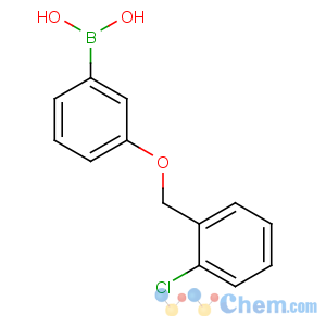 CAS No:845551-45-3 [3-[(2-chlorophenyl)methoxy]phenyl]boronic acid