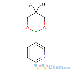 CAS No:845885-86-1 3-(5,5-dimethyl-1,3,2-dioxaborinan-2-yl)pyridine