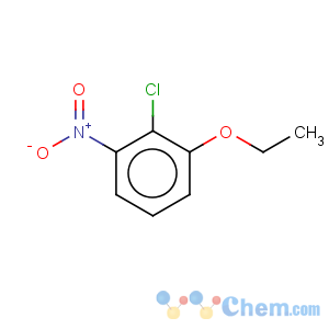 CAS No:846031-57-0 Benzene,2-chloro-1-ethoxy-3-nitro-