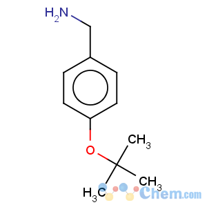 CAS No:84697-13-2 Benzenemethanamine,4-(1,1-dimethylethoxy)-