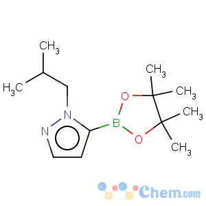 CAS No:847818-75-1 1-(2-methylpropyl)-5-(4,4,5,5-tetramethyl-1,3,2-dioxaborolan-2-yl)-1H-pyrazole