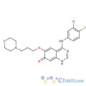 CAS No:847949-49-9 4-(3-chloro-4-fluoroanilino)-6-(3-morpholin-4-ylpropoxy)-1H-quinazolin-<br />7-one