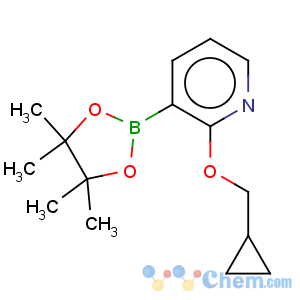 CAS No:848243-26-5 Pyridine,2-(cyclopropylmethoxy)-3-(4,4,5,5-tetramethyl-1,3,2-dioxaborolan-2-yl)-