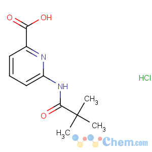 CAS No:848243-27-6 6-(2,2-dimethylpropanoylamino)pyridine-2-carboxylic acid
