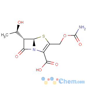 CAS No:84845-57-8 ritipenem