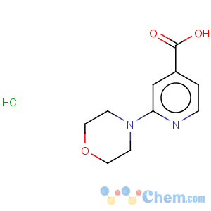 CAS No:848580-46-1 4-Pyridinecarboxylicacid, 2-(4-morpholinyl)-, hydrochloride (1:1)
