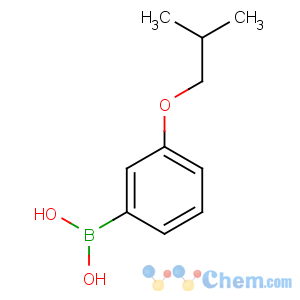 CAS No:849052-21-7 [3-(2-methylpropoxy)phenyl]boronic acid
