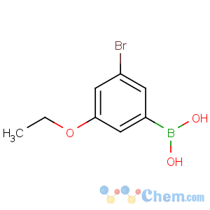 CAS No:849062-02-8 (3-bromo-5-ethoxyphenyl)boronic acid