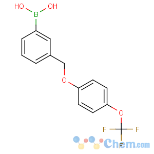 CAS No:849062-06-2 [3-[[4-(trifluoromethoxy)phenoxy]methyl]phenyl]boronic acid