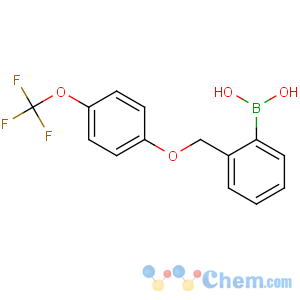 CAS No:849062-07-3 [2-[[4-(trifluoromethoxy)phenoxy]methyl]phenyl]boronic acid