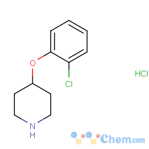 CAS No:849107-20-6 4-(2-chlorophenoxy)piperidine