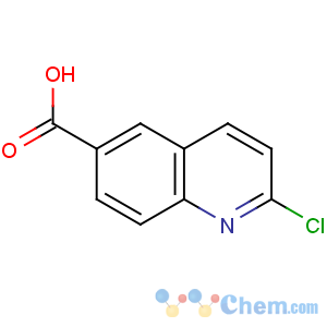 CAS No:849996-80-1 2-chloroquinoline-6-carboxylic acid