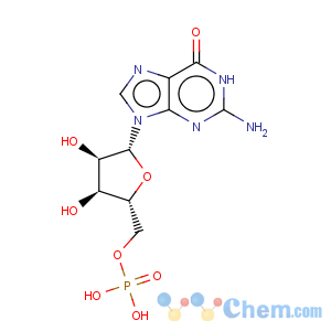 CAS No:85-32-5 5'-Guanylic acid