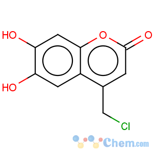 CAS No:85029-91-0 2H-1-Benzopyran-2-one,4-(chloromethyl)-6,7-dihydroxy-