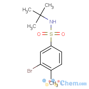 CAS No:850429-70-8 3-bromo-N-tert-butyl-4-methylbenzenesulfonamide