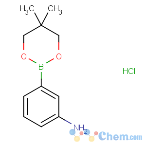 CAS No:850567-43-0 3-(5,5-dimethyl-1,3,2-dioxaborinan-2-yl)aniline