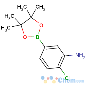 CAS No:850567-56-5 2-chloro-5-(4,4,5,5-tetramethyl-1,3,2-dioxaborolan-2-yl)aniline