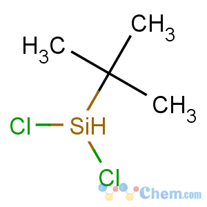 CAS No:85121-42-2 t-BUTYLDICHLOROSILANE