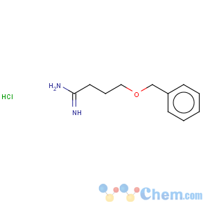 CAS No:85173-92-8 4-Benzyloxy-butyramidine HCl