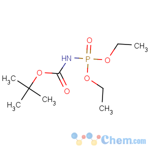 CAS No:85232-02-6 tert-butyl N-diethoxyphosphorylcarbamate