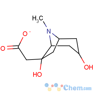 CAS No:85644-59-3 2-(3,6-dihydroxy-8-methyl-8-azabicyclo[3.2.1]octan-6-yl)acetate
