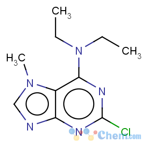 CAS No:857172-63-5 7H-Purin-6-amine,2-chloro-N,N-diethyl-7-methyl-