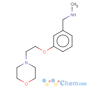CAS No:857284-10-7 Benzenemethanamine,N-methyl-3-[2-(4-morpholinyl)ethoxy]-
