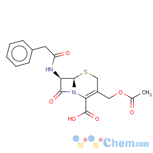 CAS No:859-07-4 5-Thia-1-azabicyclo[4.2.0]oct-2-ene-2-carboxylicacid, 3-[(acetyloxy)methyl]-8-oxo-7-[(2-phenylacetyl)amino]-, (6R,7R)-