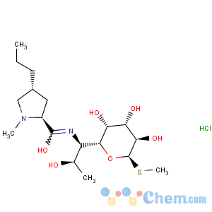 CAS No:859-18-7 Lincomycin hydrochloride