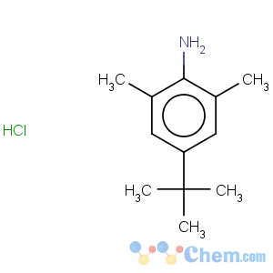 CAS No:859784-19-3 Benzenamine,4-(1,1-dimethylethyl)-2,6-dimethyl-, hydrochloride (1:1)