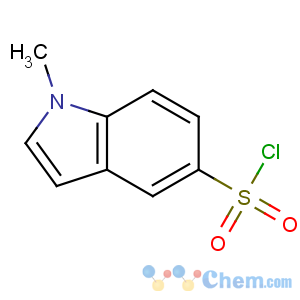 CAS No:859850-75-2 1-methylindole-5-sulfonyl chloride