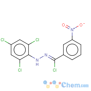 CAS No:861363-66-8 Hydrazine