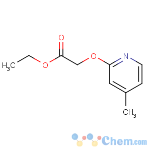CAS No:864684-80-0 ethyl 2-(4-methylpyridin-2-yl)oxyacetate