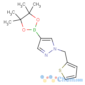 CAS No:864754-19-8 4-(4,4,5,5-tetramethyl-1,3,<br />2-dioxaborolan-2-yl)-1-(thiophen-2-ylmethyl)pyrazole