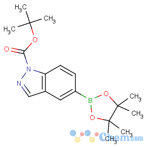 CAS No:864771-44-8 tert-butyl<br />5-(4,4,5,5-tetramethyl-1,3,2-dioxaborolan-2-yl)indazole-1-carboxylate