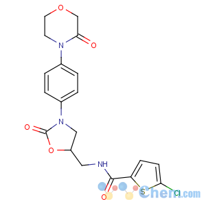 CAS No:865479-71-6 5-chloro-N-[[(5R)-2-oxo-3-[4-(3-oxomorpholin-4-yl)phenyl]-1,<br />3-oxazolidin-5-yl]methyl]thiophene-2-carboxamide