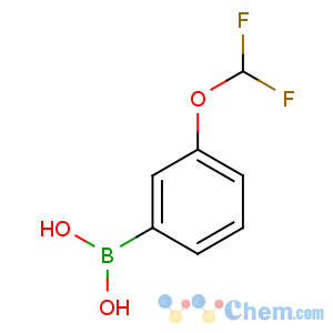 CAS No:866607-09-2 [3-(difluoromethoxy)phenyl]boronic acid