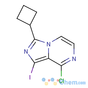 CAS No:867165-15-9 8-chloro-3-cyclobutyl-1-iodoimidazo[1,5-a]pyrazine