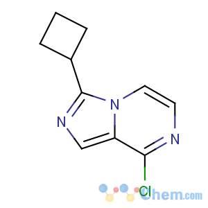 CAS No:867166-09-4 8-chloro-3-cyclobutylimidazo[1,5-a]pyrazine