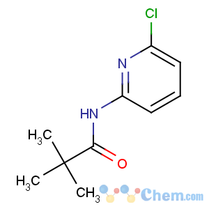CAS No:86847-84-9 N-(6-chloropyridin-2-yl)-2,2-dimethylpropanamide