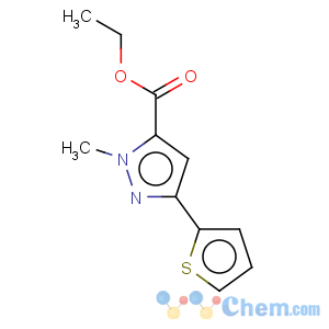 CAS No:868755-61-7 1H-Pyrazole-5-carboxylicacid, 1-methyl-3-(2-thienyl)-, ethyl ester