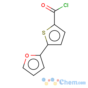 CAS No:868755-63-9 2-Thiophenecarbonylchloride, 5-(2-furanyl)-