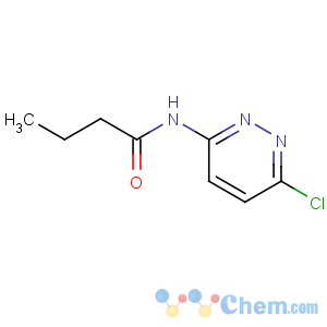 CAS No:868948-12-3 N-(6-chloropyridazin-3-yl)butanamide